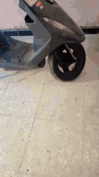 ماكس البيع بلاديه كفاله هاذه رقمي 07722232481