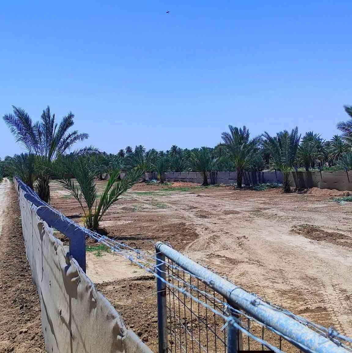 عقار مميز في كربلاء💯
✅دونم ونص للبيع واجهة 24 م
طابو سند 25 تحويل بالطابو 

✅️متوفرة كافة الخدمات
تبليط، ماء، كهرباء، مدارس

✅️الموقع كربلاء - منطقة 
الزبيلية( قرب مدرسة الحكمة )
يبعد عن شارع رابط الزبيلية 5 كيلو 
يبعد من مركز مدينة كربلاء 15 كيلو 

💰السعر 160 مليون عقاري كربلاء 

📞 إتصل الآن:  ***********
