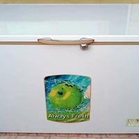 مجمد • ١٦ قدم • ضاغط جديد