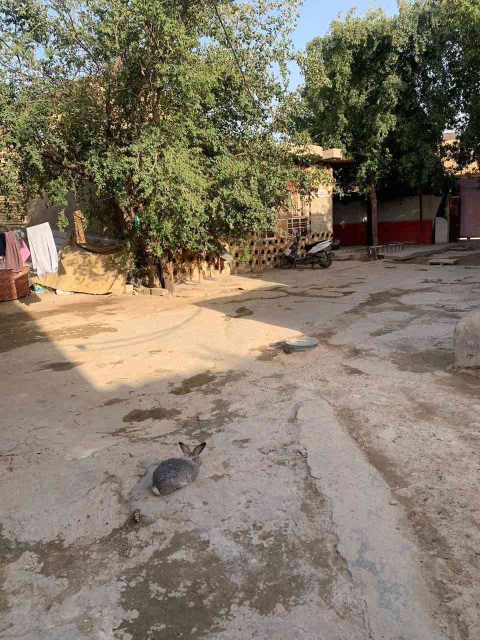 بيت اللبيع طابقين مساحته 625متر بالدوانم بشارع ابو دراج البيت  ع فرعين بي 8غرف من عدا  الديوانيه 60متر البيت سعره مناسب الشىري ينتصل ع هذا  الرقم ***********
