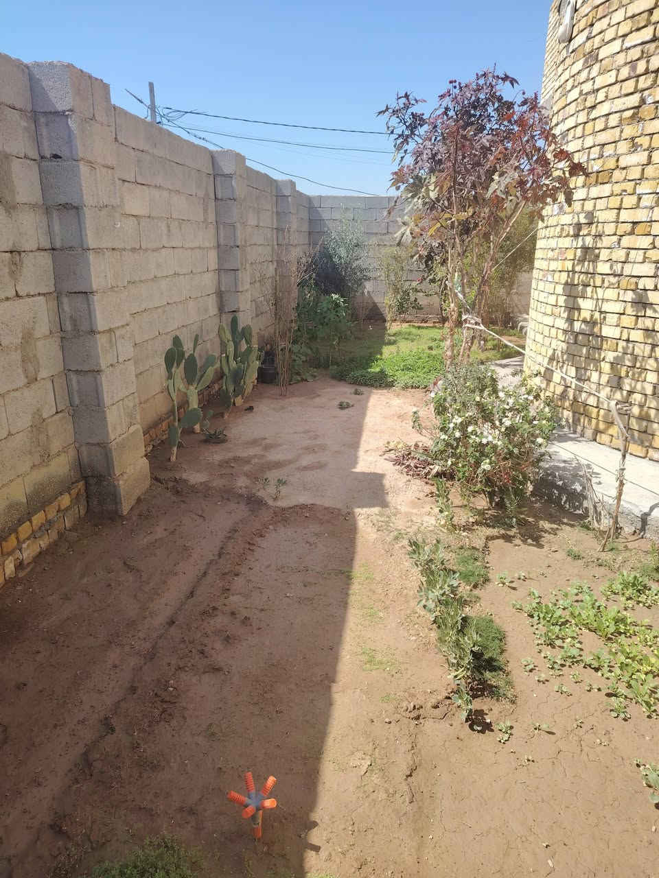 بيت للبيع المساحه ٣٢٠ متر الواجهه 20 والنزال16 مجمع النفط الرابع طابق واحد السعر ١٣٠  رقم صاحب الدار ***********
