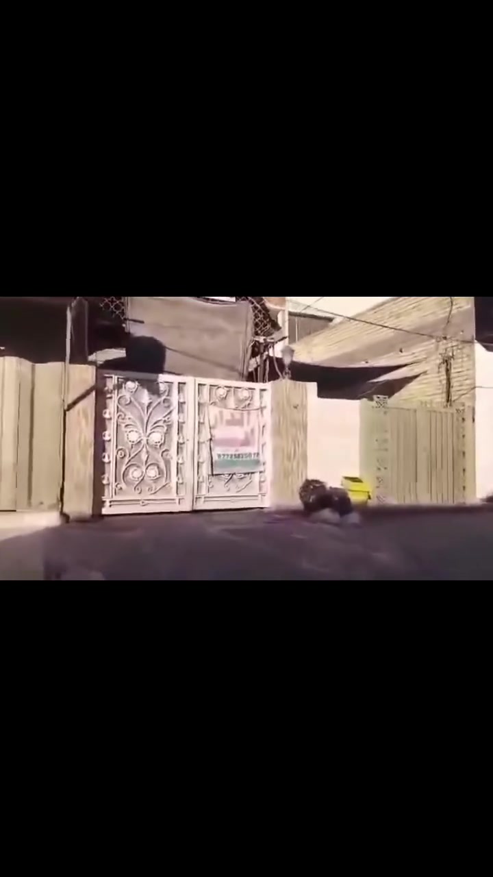 بيت تجاري للبيع طابو صرف في حي الجهاد الملحانيه محله ٨٨٣ شارع مسبح الرافدين مساحه ٢٤٢ ونص واجهه ١٠ متر ونزال ٢٤ ونص٠٠٠
البيت طابقين ومشتمل ومحلات عدد اثنين 
الطابق الاول بناء الثمانينات ويحتوي ع كراج يتسع لسيارتين وهول واستقبال وحولي وغرف نوم عدد اثنين وصحيات والطابق الثاني بناء الفينات يحتوي ع مطبخ وصحيات وغرفتين نوم وممر ٠
والمشتمل يحتوي ع هول ومطبخ وغرفه نوم وصحيات ودرج خارجي مفصول عن البيت بناء الفينات 
البيت مال ورثه بالغين وكلهم موجودين وقسام شرعي جديد
سعر المتر مليون وربع
واتساب ***********
