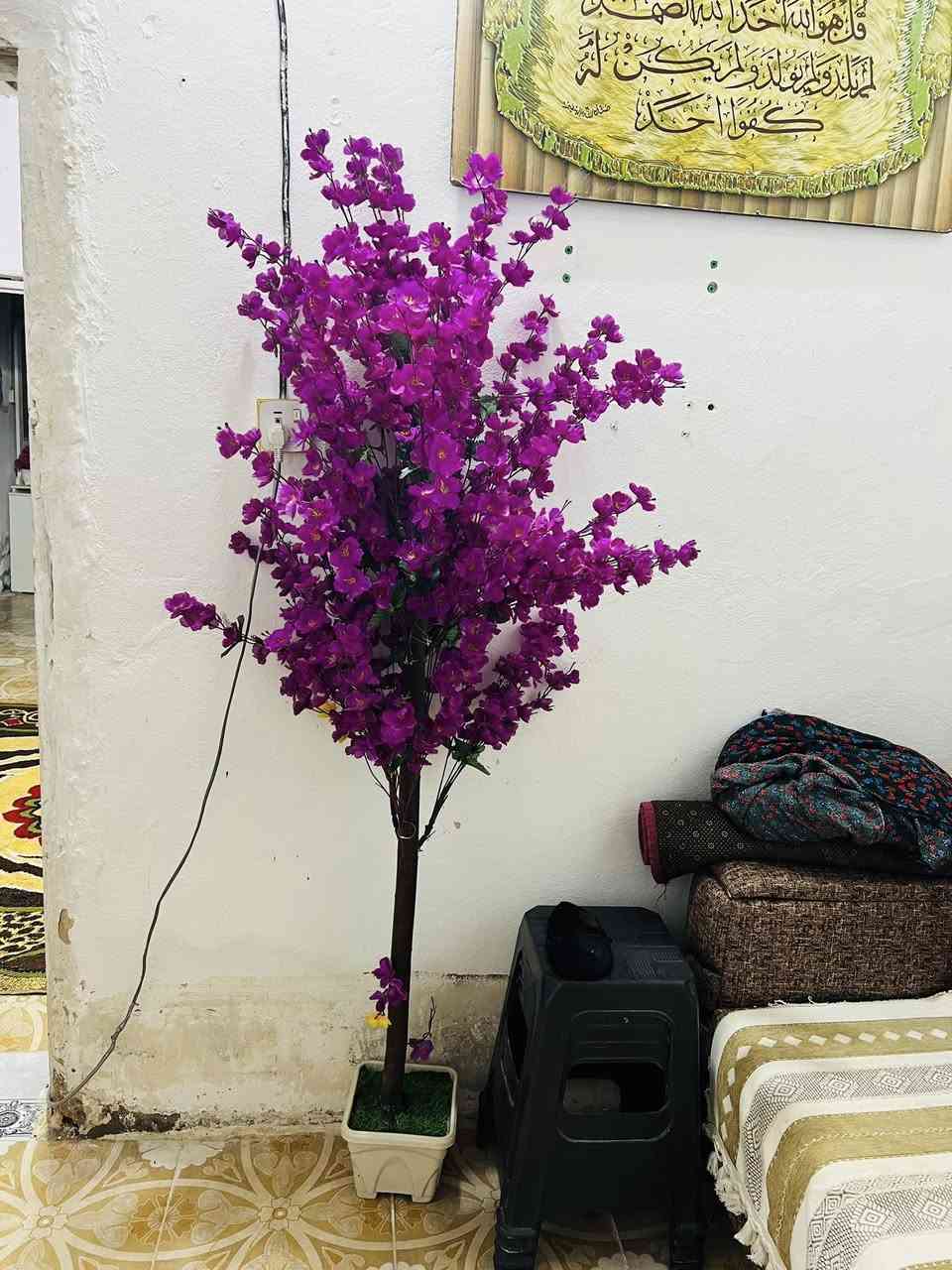 ب 20 الوحده ماخذتهن ب 35


**إذا كنت صاحب هذا الإعلان وتريد حذفه لأي سبب، رجاءا أرسل رسالة إلى الدعم الفني**