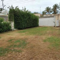 قص ثيل • تنظيف حدائق • حديثه