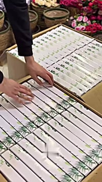 سيت مقدمات • قطعتين • ديكور