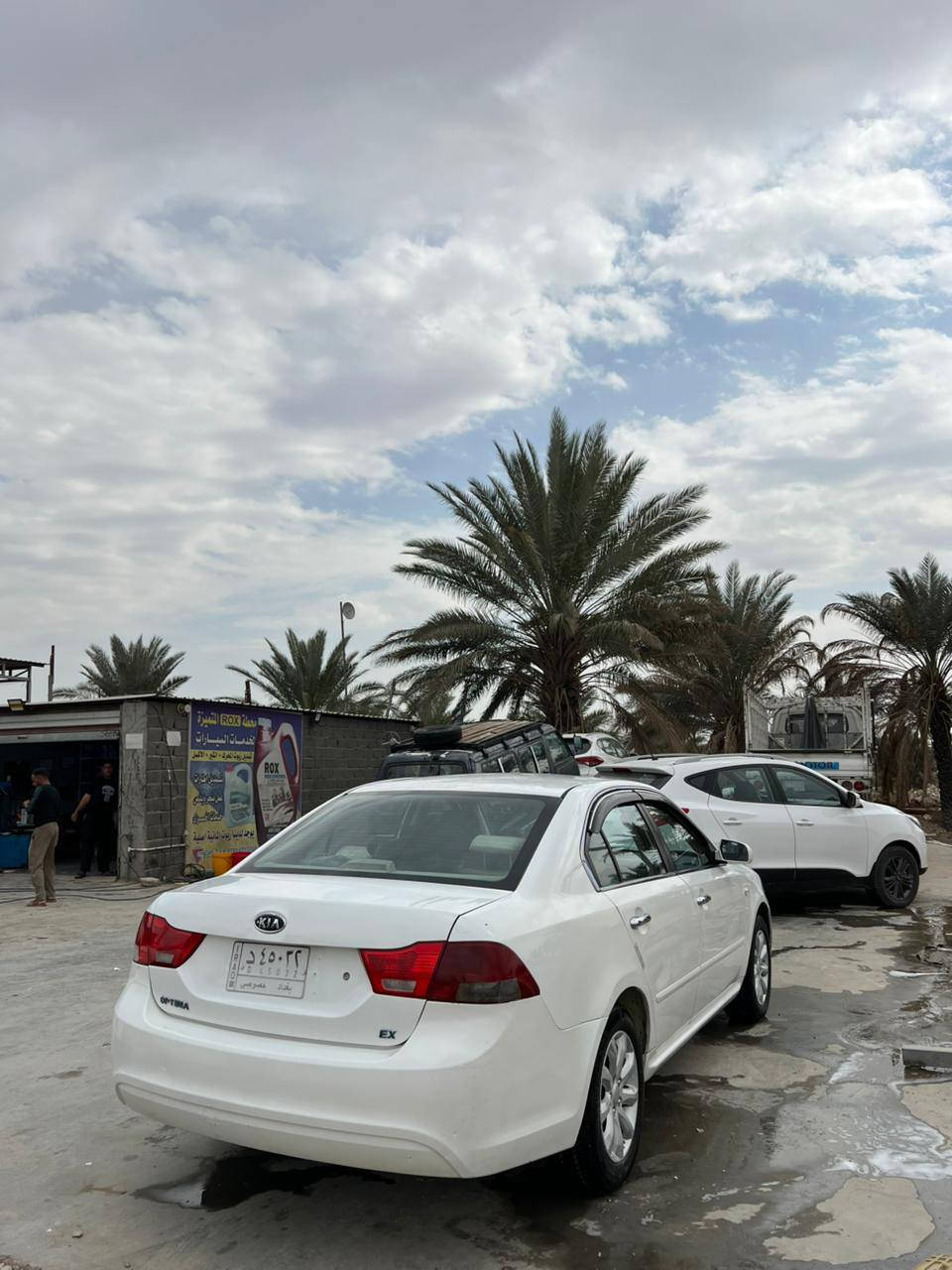 للبيع اوبتما 2009 رقم بغداد باسمي
كير ومحرك كفاله

سياره ما ناقصها شي

حداديه جديده 

تايرات بحاله ممتازه 

تبريد شغال داخل نضيف 

ثلاث قطع صبغ بدون ضربه

السعر  108 بيها مجال قليل

***********

مكاني بابل
