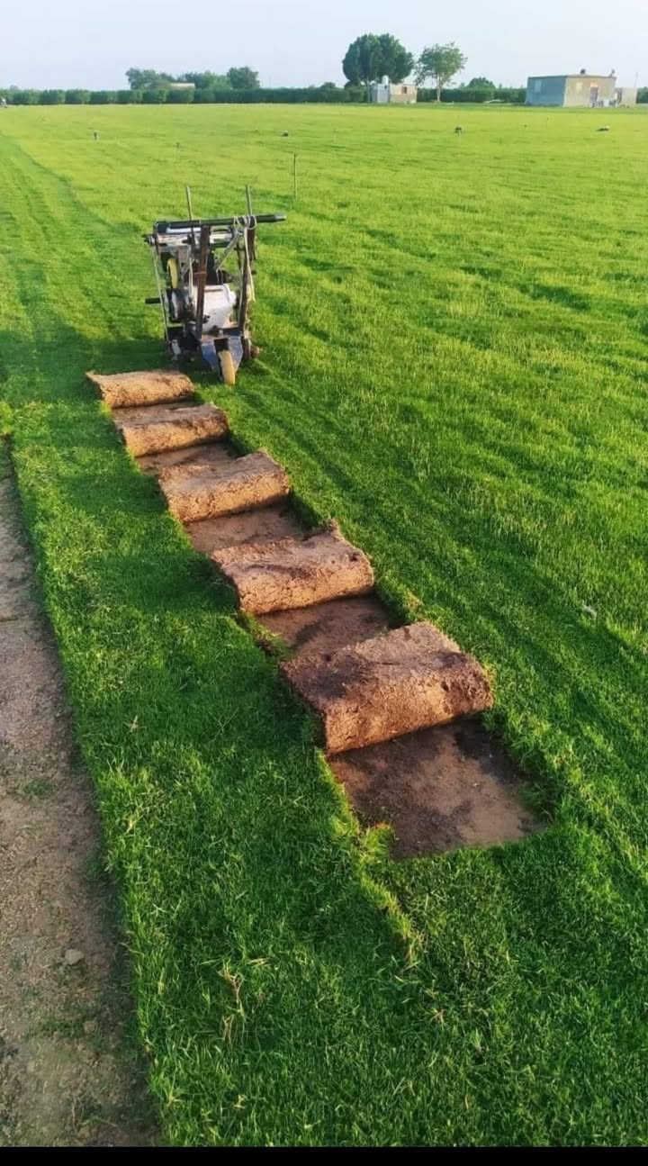 لدينا كافة أنواع الثيل الطبيعي درجة اولى
#متوفر  توصيل لكافة محافظات العراق

متوفر لدينا كافة انواع الثيل الطبيعي💚
#نوعية ممتازة 
هندي - امريكي - ايطالي فرنسي... 🌿☘️🍀
وبأسعار تنافسية 
 
مستعدون لتجهيز الحدائق العامة والمتنزهات والملاعب  
للحجز او الاستفسار اتصل على احد الارقام التالية:
***********
***********
