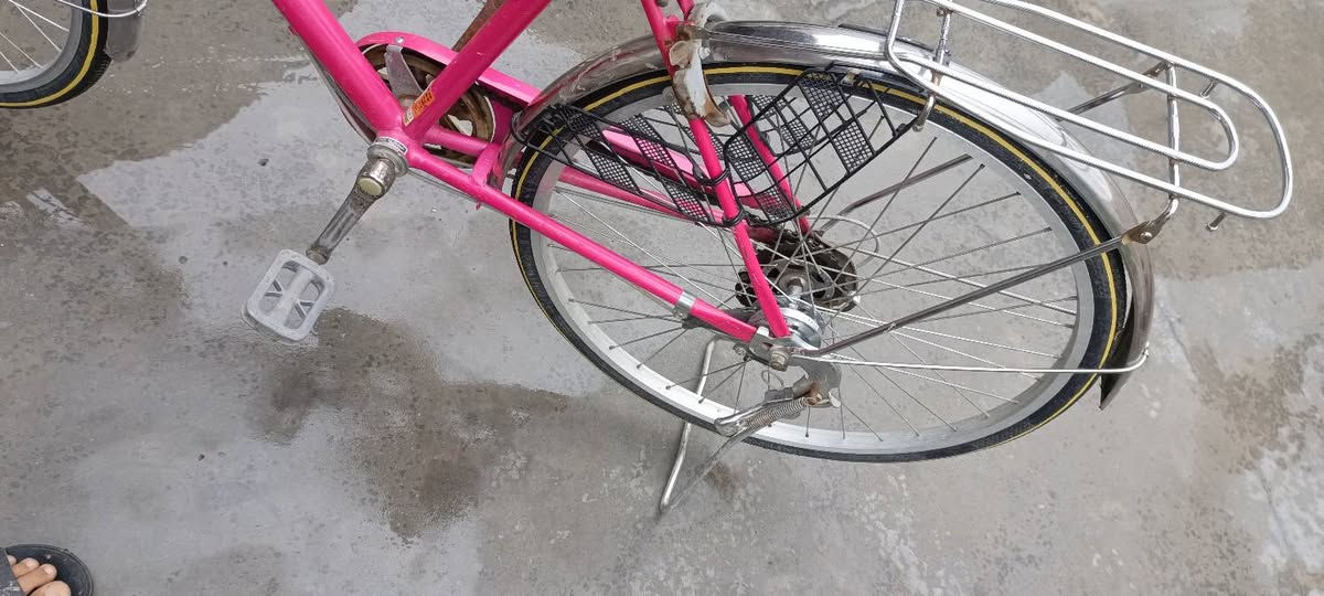 السلام عليكم شباب شلونكم بايسكل للبيع حجم 26نضيف لون وردي بايسكل حلو وجديد والله العظيم برغي مامفتوح مااطلع بي متروك بلبيت نضافه ميه عله ميه وعلي السعر 110وبي مجال الخاطر الجيه وبيكم خير وتدللون تواصل ***********واتساب او اتصال ***********
