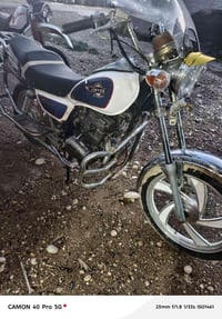 جني • أوراق موجوده