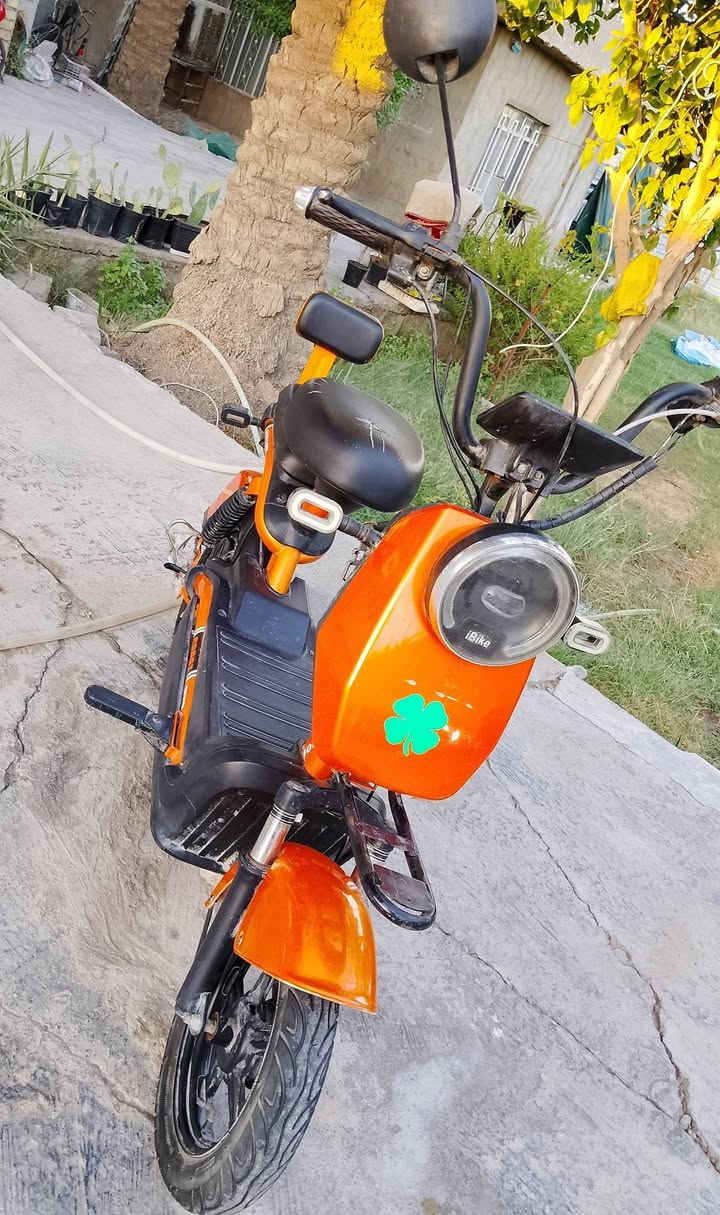 دراجة ibike شحن
السلام عليكم 
 دراجة شحن صغيرة 14 بطاريات ممتازة 4 على الفحص نظافة عالية 
 300  السعر 
بيها مجال 
العنوان ابي غريب الرسالة
للاستفسار 

***********
