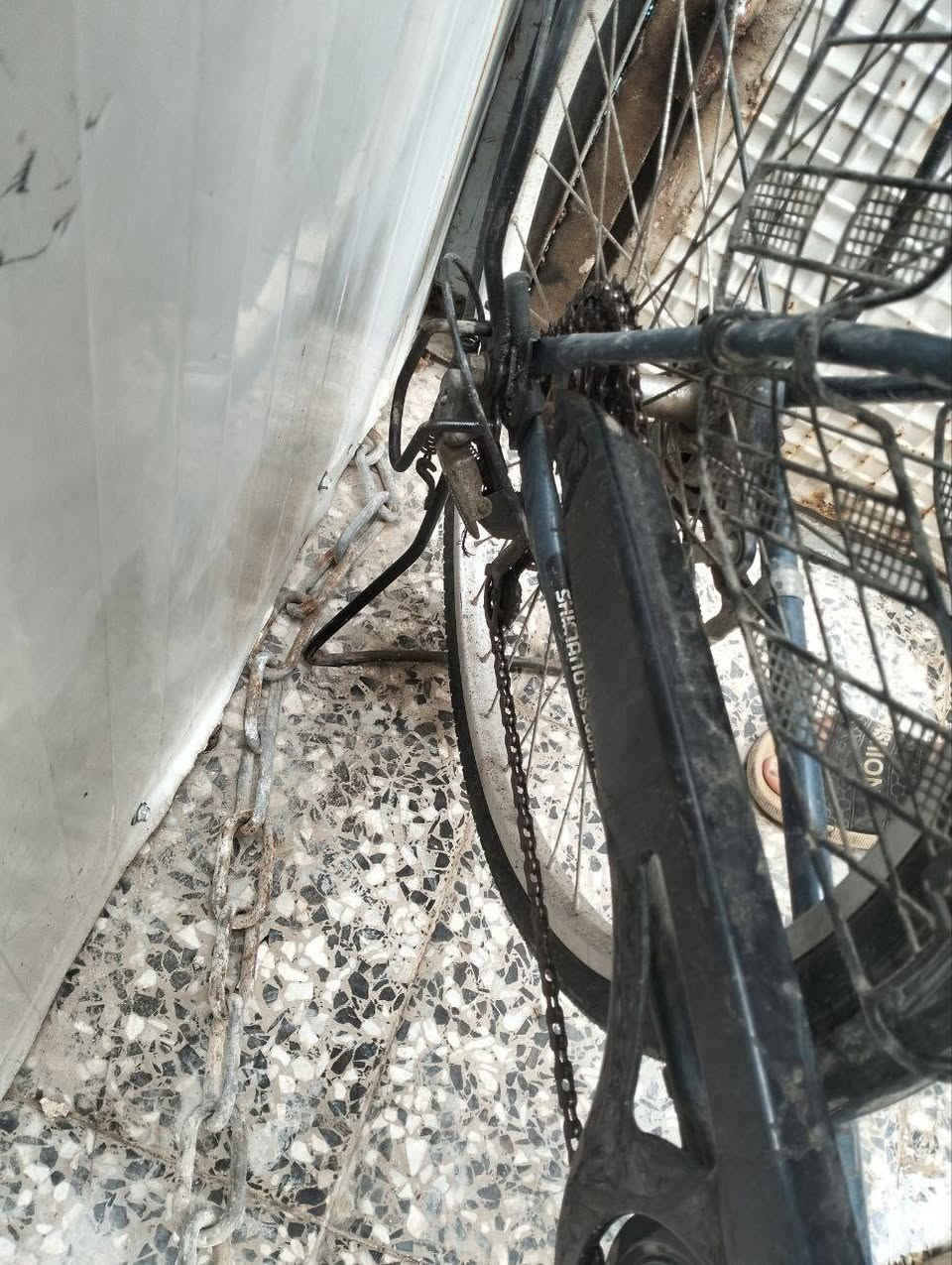 االسلام عليكم بايسكل جديد رمبه منزله ب 160 مراوس بجهاز honor x9a 5g فقط مكاني بغداد بلديات


**إذا كنت صاحب هذا الإعلان وتريد حذفه لأي سبب، رجاءا أرسل رسالة إلى الدعم الفني**