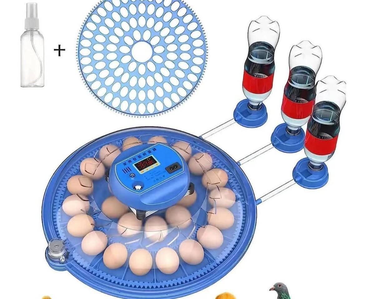 فقاسه اشيل 52بيضه مع يوبيس مالهه يشحنه ساعتين


**إذا كنت صاحب هذا الإعلان وتريد حذفه لأي سبب، رجاءا أرسل رسالة إلى الدعم الفني**