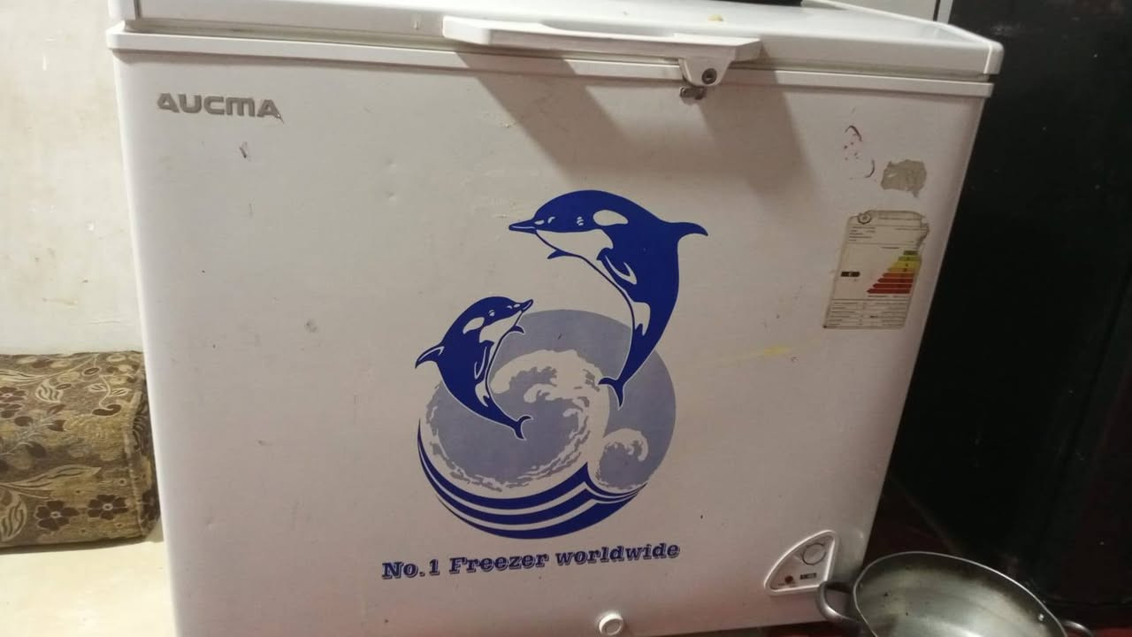 ‎مجمده حجم وسط ب٢٥٠والشتشهرحجم ٤٣بوصه ام النت جنرال سمارت ب٢٠٠ الغساله شغاله حجم كبير ب١٠٠‎ البصرة, العراق


**إذا كنت صاحب هذا الإعلان وتريد حذفه لأي سبب، رجاءا أرسل رسالة إلى الدعم الفني**