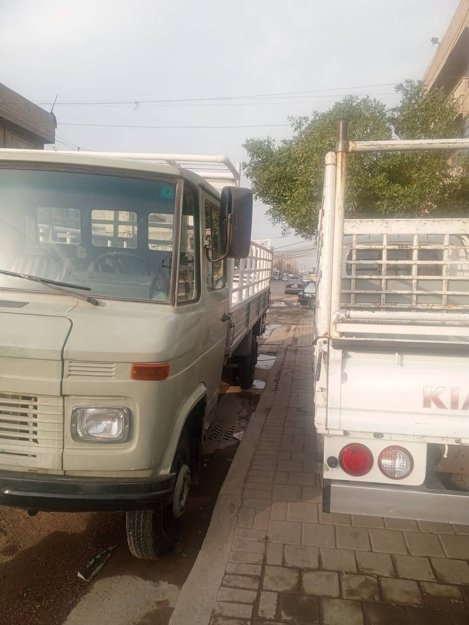 سلام عليكم مارسدس اخرس للبيع  ورشه بلادي اكسن ابو دب مكينه جديده حداديه جديده دوشمه جديده كهربائيات       كله شغاله تخم تاير سياره مناقصه اي شي كبل للشارع رقم انكليزي تحويل ثاني يوم بسمك السعر تسع مليون للاتصال ***********
