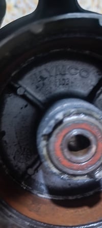 تفصيخ • سكنس اصلي • ويل 17