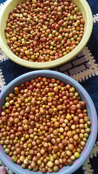 نبك عراقي درجة اولى بالغ وحلو شرط   الكيلو ب٢٠٠٠ توصيل مجاني لكل مناطق...