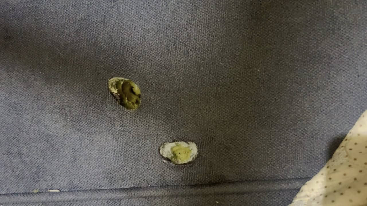 البيع تخم مودرن 5مقاعد 10نفرانت  الضرر بس هاي جمره مال اركيله بسبب زوجي الله يطول عمره حي القضاة خلف الدفاع المدني مال حي السلام ***********
