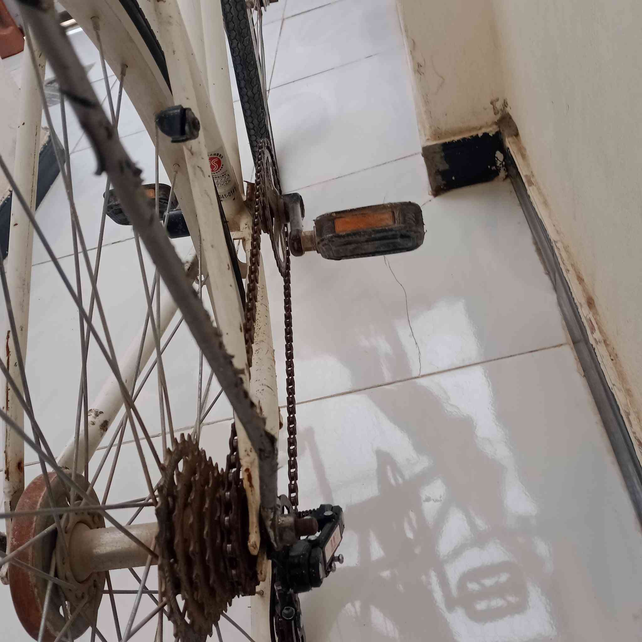 بسم الله الرحمن الرحيم باسكل جديد نضيف ياباني فول موصفتة موديل 2021 وسعر 75وبي مجال


**إذا كنت صاحب هذا الإعلان وتريد حذفه لأي سبب، رجاءا أرسل رسالة إلى الدعم الفني**