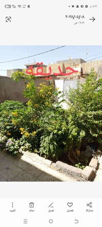 كوفه شارع المعمل • ٢٠٠م • طابو زراعي