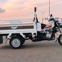 ستوته للبيع موديل 2023 فحل عالي شاخوان قلاب  اوراق كامل كمرك وعقد شاخو...