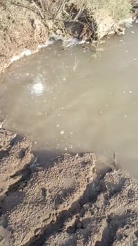 نهر سعد • ٧٥ دونم • قاطع لول