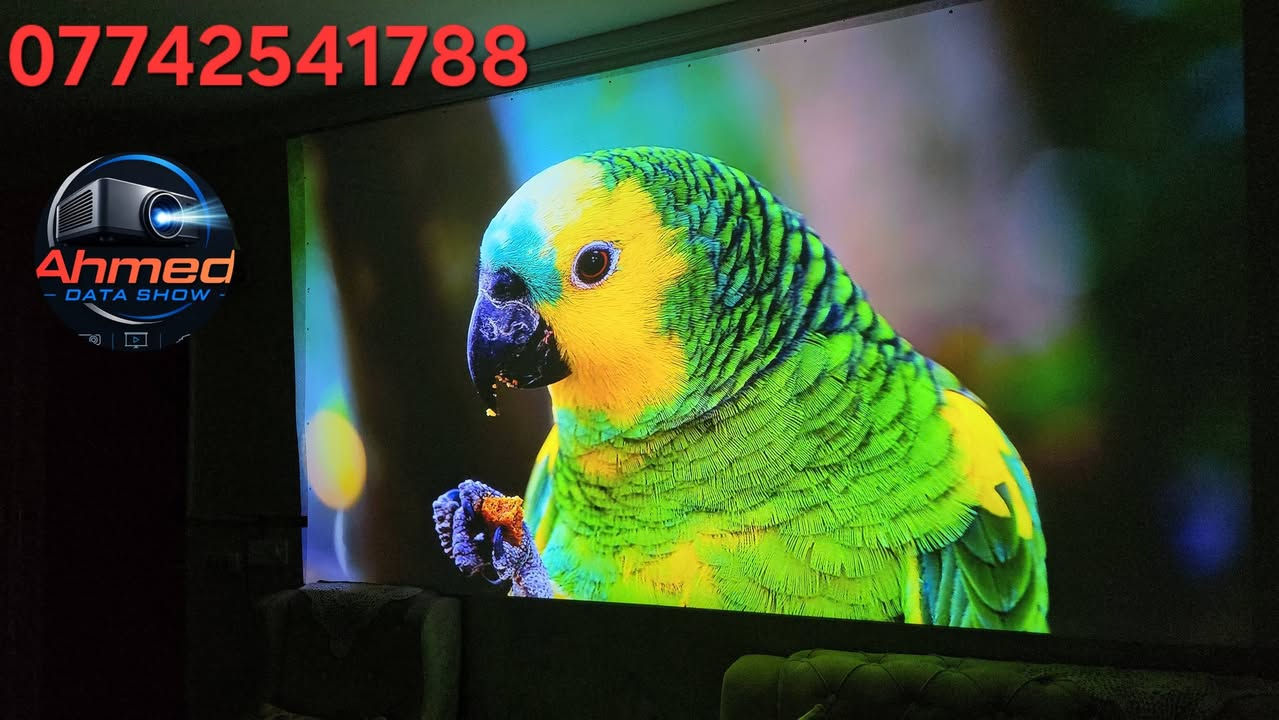 اخوان الكميه محدوده جدا

🔥🔥🔥 الداتا شو  Yaber  k2s
👍🥰🥰 اقوى جهاز اندرويد TV دقه  عاليه يدعم 4k

🔴 مع اشتراك رسمي لمشاهده البين سبوره والافلام والرياضه اكثر من ١٠ الف قناه مباشره واكثر من ٢٠٠ الف فلم ومسلسل

حجم عرض يصل إلى 200 بوصة
صوت JBL مدمج
دعم Dolby Audio
يدعم Alexa
Smart Projector مع تطبيقات مدمجة
يدعم NFC Screen Cast لعرض شاشة الهاتف بسرعة
مناسب لـ
الأفلام والمسلسلات
اليوتيوب وNetflix

🔴 مميزاته
صوت قوي مقارنة بمعظم البروجكترات الاقتصادية
نظام ذكي أسهل من توصيل TV Box خارجي

أوتوفوكس وتصحيح تلقائي

التحكم بالصوره من اربع جهات تكبير وتصغير الصوره

للحجر واتس اب

☎️ ***********
