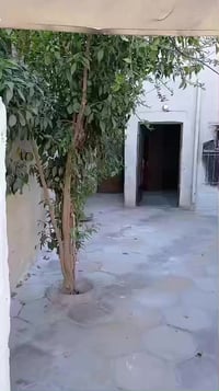 بيت للايجار • ١٠٠م • شارع الشريفي