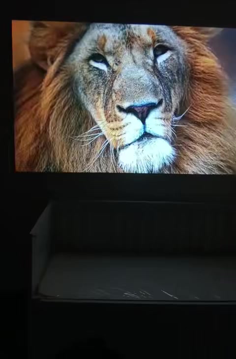 داتا شو شحن وكهرباء  مناسب للتنقل  يربط على الستلايت وعلى الموبايل واي فاي وبلوتوث اندروید بی یوتوب نیتفلیکس کلشی بی 
موجود ب سعر کلش مناسب جدید


**إذا كنت صاحب هذا الإعلان وتريد حذفه لأي سبب، رجاءا أرسل رسالة إلى الدعم الفني**