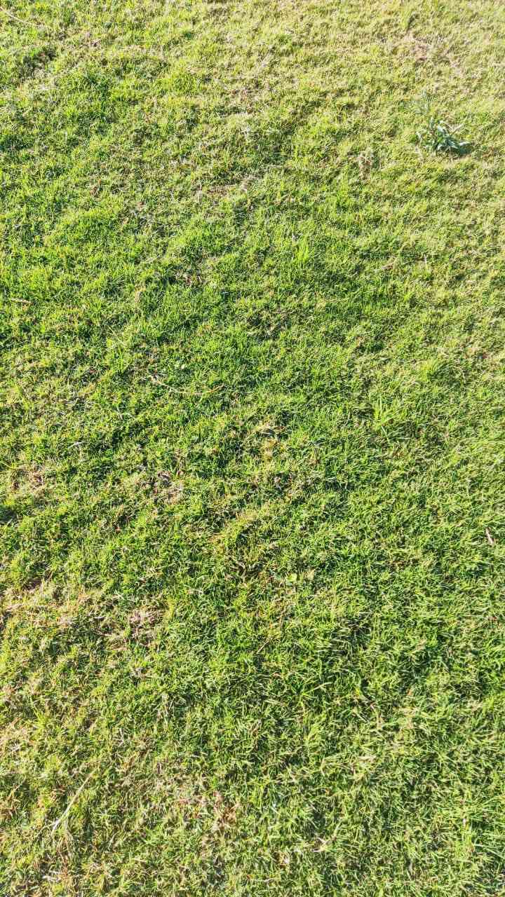 ‏إعلان فيسبوك
‏عرض التفاصيل
سعر لقطعه مع توصيل 35 الف سعر ثابت بدون عمله


**إذا كنت صاحب هذا الإعلان وتريد حذفه لأي سبب، رجاءا أرسل رسالة إلى الدعم الفني**