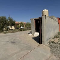 الجمعيه الثانيه العلم صلاح الدين • ٢٩٠م • ملك صرف