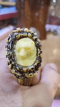 حامل نصل • دب عملاق • شفره ستانلس