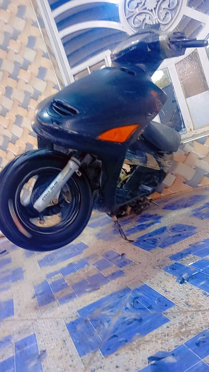 سلام عليكم درجة فراشه فحل للبيع بس خيط بخار بيها مكان ديوانيه رقم تليفون ***********
