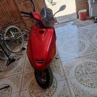 فراشة فحل • نضيفه • بابل
