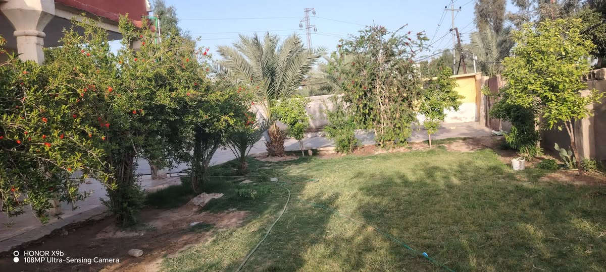 السلام عليكم بيوت عدد اثنين
مع مشتمل للبيع في حي رشيد قريب علئ مستشفئ الامام علي (ع) 
المساحه الكليه 1400 متر  مساحه البنيان 870 متر  مساحه الفارغه 530 الخدمات متوفره 
اساله كهرباء مولد تبليط مدرسه قريبه
موقعه تجاري يصلح محلات مع محطه ماء  مع  غرف عدد اثنين 5_4 مضيف 8_4 مطبخ كله سراميك وسقف ثانوي 4_4 هول 10_4 البيت الثاني نفس الغرف بس مابي مضيف مطبخ خارجي مجمع صحيات وحمام خارجي الاستفسار على هاي الارقام      ***********  ***********
