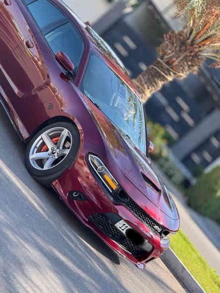 سلام عليكم 

للبيع او مراوس
دودج جارجر سكات باك 2018

فول 1/1
اعلى فئة ب سكات

وارد امريكي 
حادث جانبي 

ماشية 49 الف ميل

مبرمجه  يم ايكل
 عليه اضافات هواي 

عدسات اوركال 
كزوز كورسا
مبرمجة طلقات 
اويل كاج كان
فيول بم ريسنك
بلكات ريسنك
لحية ودوس جانبية
ويل نجمة خسفة

المواصفات

سلايد روف ( فتحة )
رادار امامي
فچ 6 بستم
كشنات حضن
تدفئة ستيرن
تحكم ستيرن + سكليتر كهرباء
كراسي كهرباء
تبريد كشنات
مري هيتر رادار قلاب
مود لانج كنترول

من الاخير فول كلش 😅

السعر 18.800$
بي مجال بسيط كلش

عنواني بغداد 
رقم بغداد باسمي تحويل بنفس يوم هزة وسنوية جدد

***********
متوفر واتس اب
