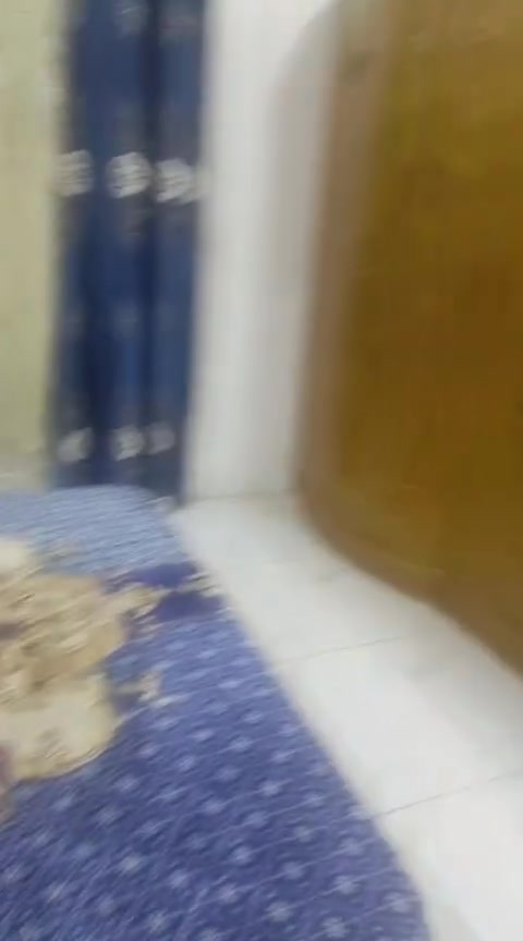بيع مستعجل 
غرفة تسكام ب650 بيه مجال 
مكان بابل النيل


**إذا كنت صاحب هذا الإعلان وتريد حذفه لأي سبب، رجاءا أرسل رسالة إلى الدعم الفني**