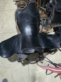 اخوان اسروجه  جلد طبيعي مال خيل  العدد 3  للبيع وينهم الخياله  الشراي ...