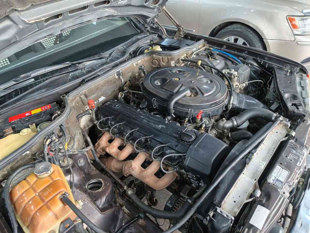 للبيع او مراوس
السلام عليكم 
للبيع 
مارسدس رئاسي 300se  
موديل 1991
محرك بلادي 300 قبق اسود 
محرك البارحه شديته جديد
كير هم جديد 
صدر امامي و خلفي جديد 
تخم تاير جديد 
تبريد شغال 
كهربائيات كلها شغاله 
صبغ عام بسبب الجراد  بدون ضرر بدون معجون فقط للجماليه 
مواصفات فول 
سلايت 
كير قفل 
تبريد بيانو 
كشن كهرباء 
اريل كهرباء 
لايت زنون
سنتر لوك شغال 
بردات (عمل) 
غرفتها نضيفه (رصاصي و مطعم بأسود ) 
سياره حيل نضيفه
( كاعيات البلاديات مالتها + الطبابه مالتها هم موجوده )  
جاهزه بدون أي نقص
رقم بغداد الجديد 
مكاني فلوجه 
سعر (140) و بيها مجال يرهم مراوس 
***********
