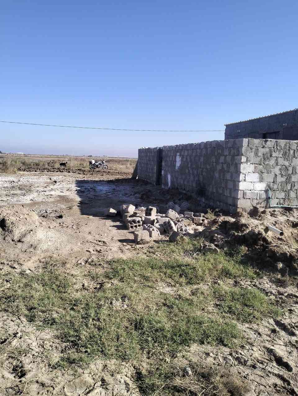 السلام عليكم، أرض زراعيه واسط قضاء الحي، جرف الشط قريب محطه ريف البشائر ست دوانم مع بيت يتكون، من غرفتين ومطبخ، وحمام وهول، جهاز مامسكون بناء جديد سكف سندويج،بيت سيراميك، ماء أسأله متوفر وكهرباء شارع سبيس، يبعد عن الشارع العام 700متر، غير متواجد على الفيس رقم اتصال فقط، ***********
