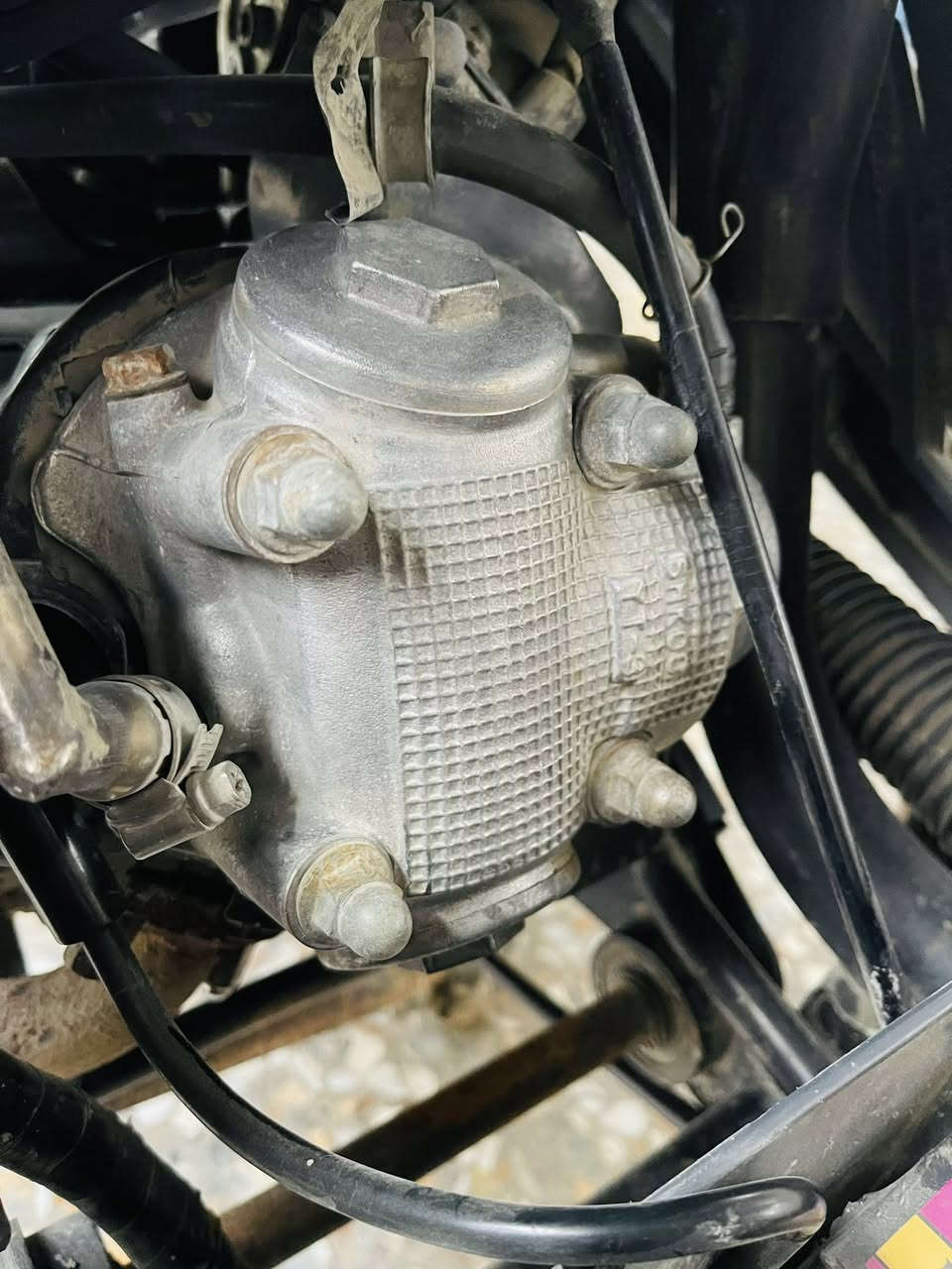 للبيع ماكس منغولي  الدراجه من كلشي  الدراجه بوشه ٤٩ بلاد  الدراجه كله مختمه  شلعه  تشك الكاع كامله مكمله مابيه نقص برغي كله شغاله من الويل للويل سعره 550 وبيه مجال للطبين مكاني بابل  ورديه داخل الجزائر منطقه البوعليان ( الاستفسار خاص ) و هذا رقمي***********و ***********
