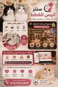 🐱 🌟 مركز انيس سنتر - Center.anes للعناية بالقطط ❤️ صالون كامل للقط 🛁🐱 ...