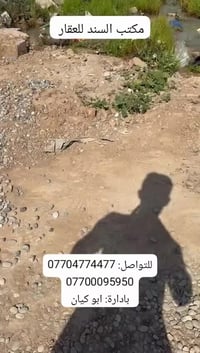 كوباني • ٢٠٠م • مكتب السند