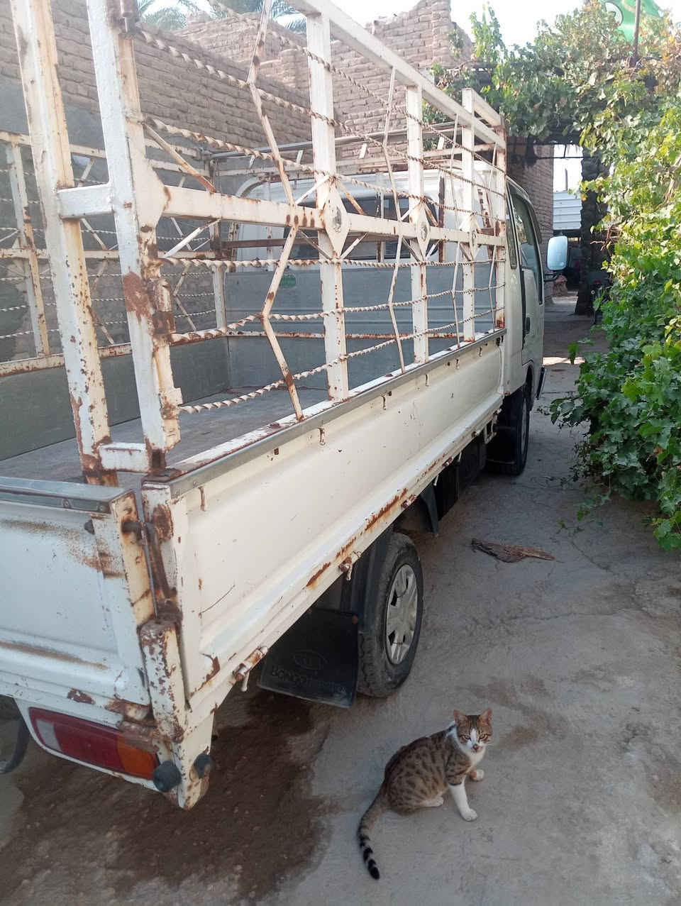 سياره فونتيرا موديل 2000باسمي تحويل مباشر اصوليه بلاديه بيه ملاحظات بسيطه بيع مستعجل  سعرها60وبيها مجال عنوان كربلاء طويريج اتصال***********
