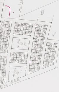 طابو • توزيع الجرحي • ٢٥م