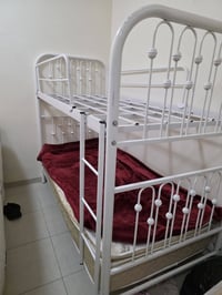 سرير طابقين • حديد • جديد