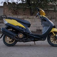 ماكس منغولي • نضيفه • مزوده