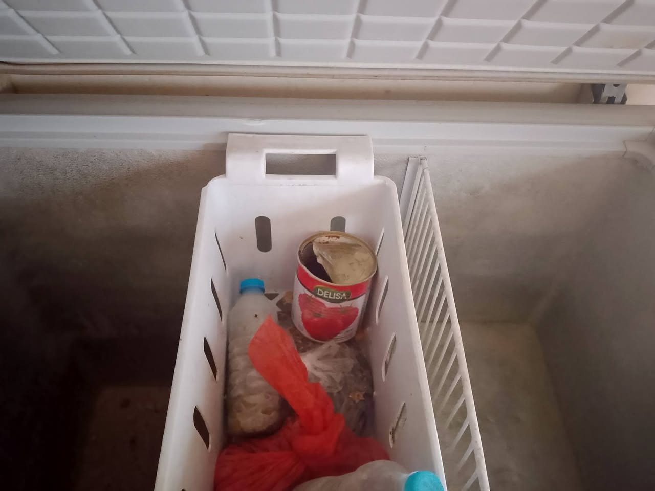 مجمدة كلة شغالة ع فحص سعر 130بي مجال


**إذا كنت صاحب هذا الإعلان وتريد حذفه لأي سبب، رجاءا أرسل رسالة إلى الدعم الفني**