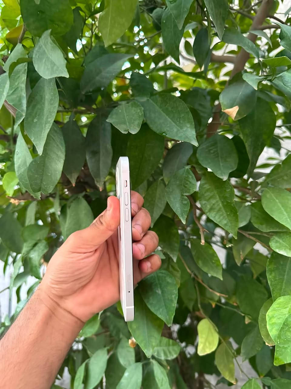 سلام عليكم
iPhone 12
لون الابيض المميز 🤍
نموذج m
ذاكرة 64
بطارية 76‎%‎ ميصرف شحن ابد 
نضافة 100‎%‎ شخط مبي الجهاز 
وتر بروف ممفتوح ولاداخل تصليح 
وين متريد افحص 
كلشي شغال بي مبي اي نقص 
فيس ايدي ✅ سماعات✅ كامرات✅ شبكه الاتصال✅ شبكه الانترنت✅ 
جاهز من اي نقص 
الجهاز حيل نضيف مراح تلكه بنضافته 
مكاني بغداد حي الاعلام 
*********** موجود واتساب 

اسف عل اطاله🤍
