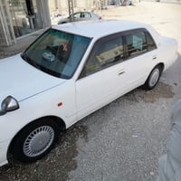 النجف • خط مدارس وجامعات