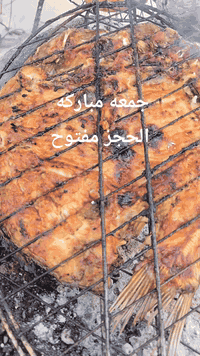 الحجز مفتوح للغده 
جمعه مباركه 
***********للحجز 
عنوان حي العصري شارع زراعه مجاور صيدليه اليمامه
